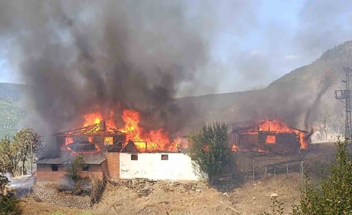 Kastamonu’da köy yangını: 7 ev, 3 samanlık alevlere teslim oldu