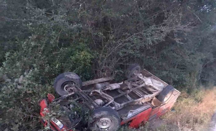 Kastamonu’da yola çıkan ceylana kamyonet çartı: 2 yaralı