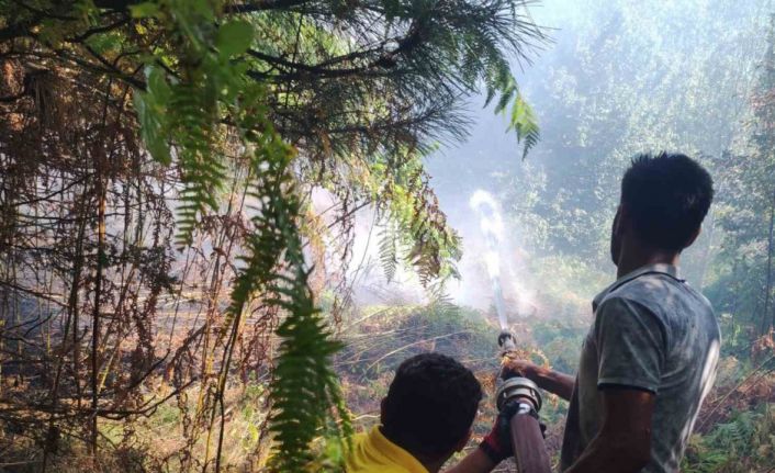 Kastamonu’daki orman yangını büyümeden söndürüldü