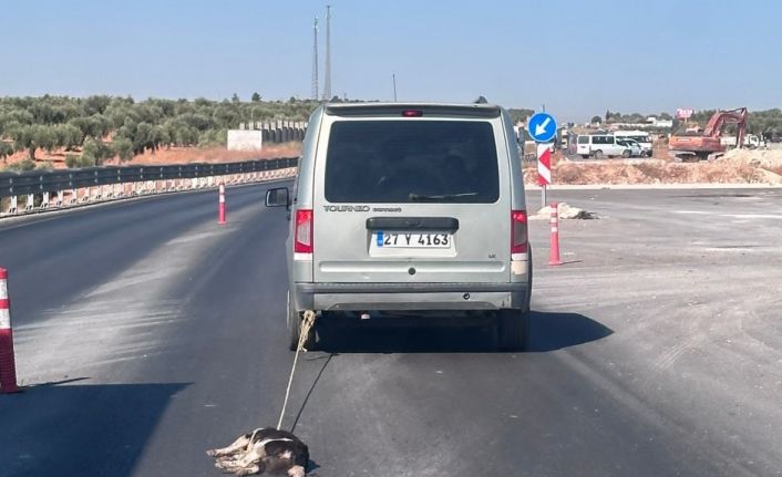 Köpeği aracına bağlayıp sürükledi