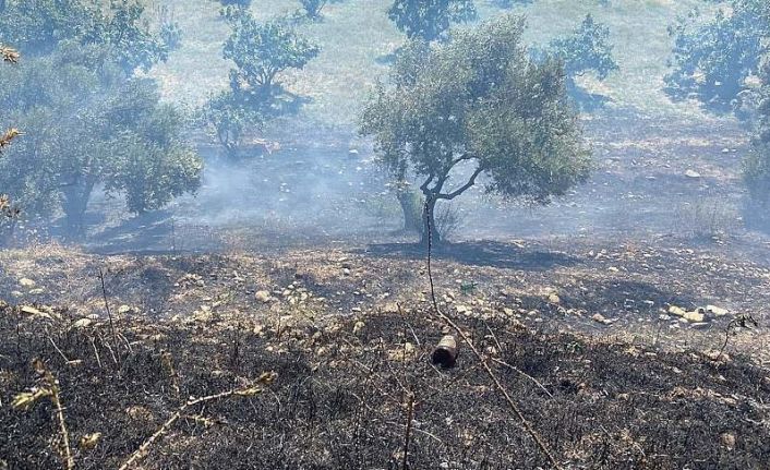 Köşk’teki yangında 1 dönüm arazi zarar gördü