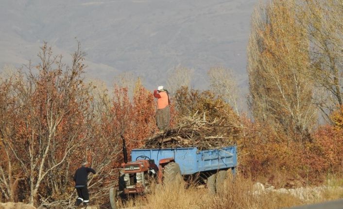 Köylerde kışlık odun hazırlığı