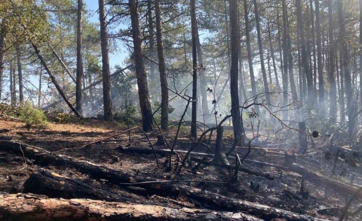 Kütahya’daki orman yangını için Bursa’da da seferberlik