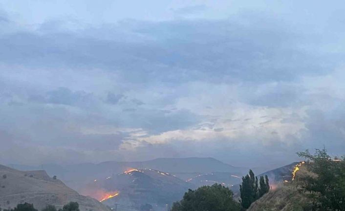 Malatya’da korkutan yangın