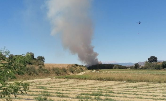 Manavgat’ta orman yangını kontrol altına alındı