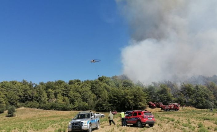 Manavgat’ta orman yangınına havadan karadan müdahale