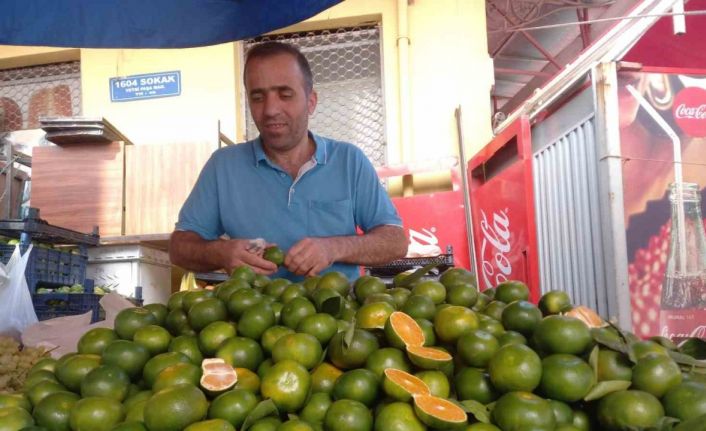 Mandalina Aydın’daki semt pazarındaki tezgahlarda yerini aldı