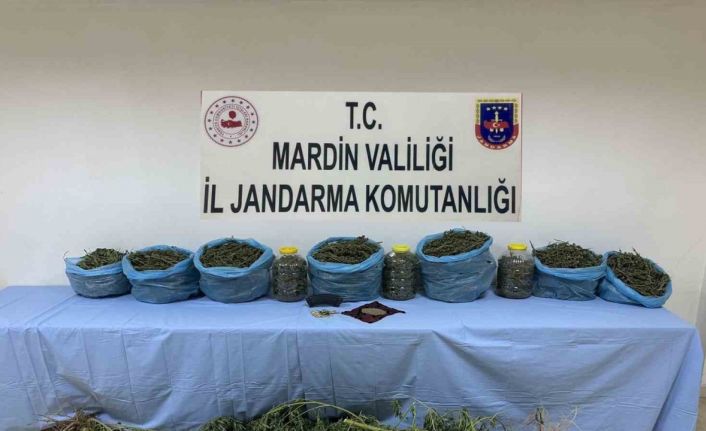 Mardin’de uyuşturucu operasyonunda 1 tutuklama