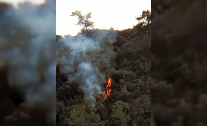 Marmaris Karacasöğüt’te orman yangını