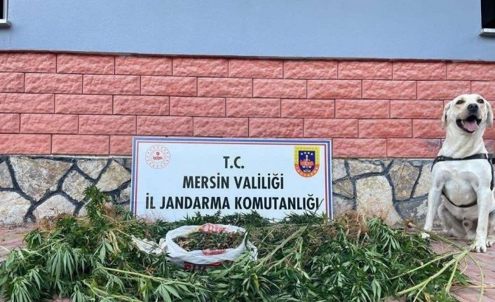 Mersin’de uyuşturucu operasyonu: 2 gözaltı