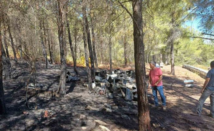 Mersin’deki orman yangını büyümeden söndürüldü