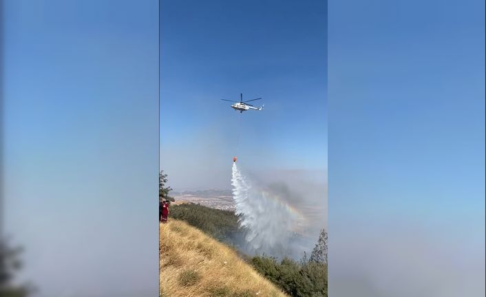 Nurdağı’nda orman yangını