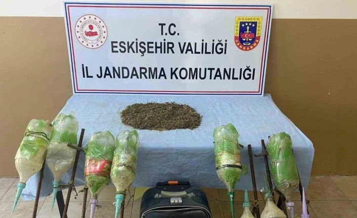 Ormana ekilen uyuşturucu jandarma tarafından bulundu