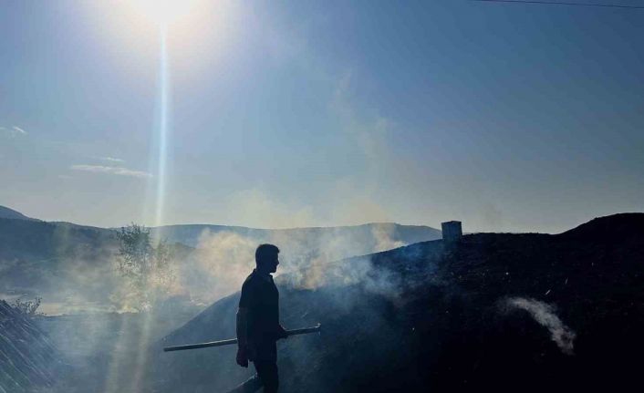 (ÖZEL) Odun öbeklerinin karşısından günlerce süren kömür nöbeti