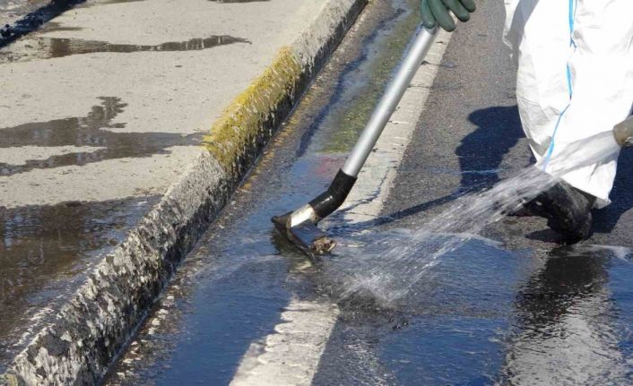 Pendik’te yola bırakılan kimyasal madde paniğe neden oldu