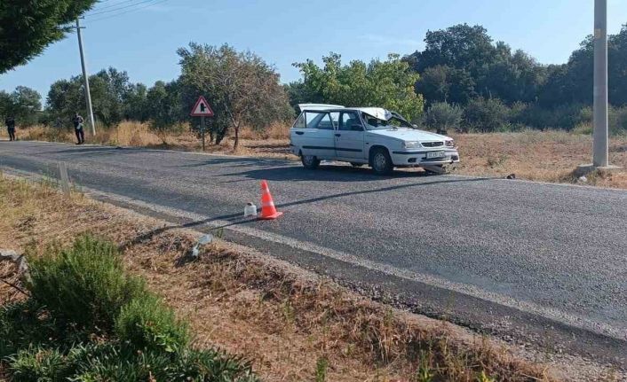 Prof. Dr. Naci Güçhan trafik kazasında hayatını kaybetti