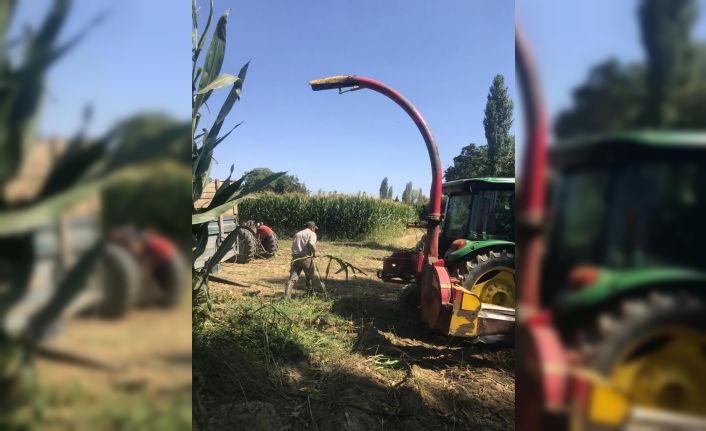 Sarıgöl’de silajlık yem yapımına başlandı