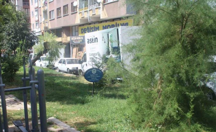 Şehit Yalçın Baykuş parkı bakım istiyor