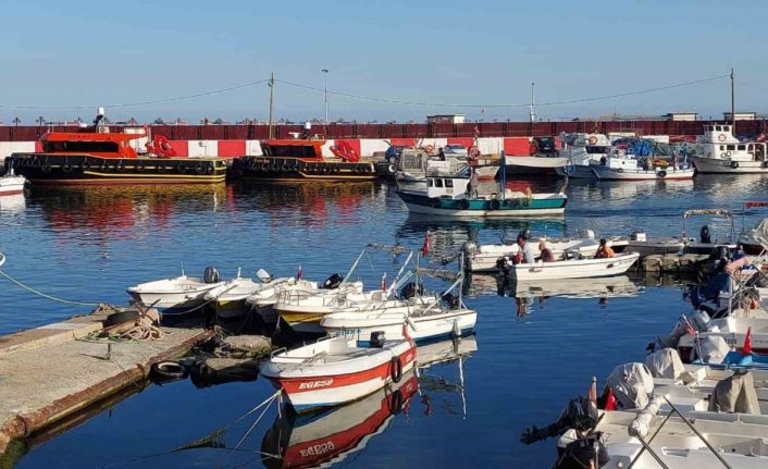 Sıcak sular balıkçıların rotalarını Karadeniz’e çevirtti