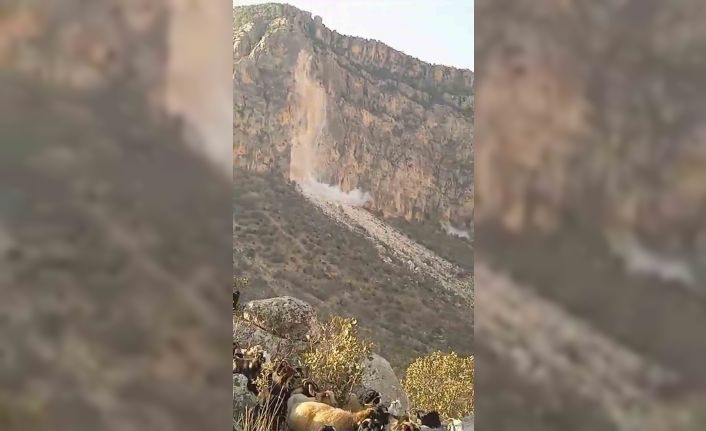 Siirt’teki deprem bir çobanın cep telefonuyla görüntülendi