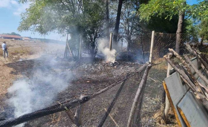 Sinop’ta çıkan eş zamanlı yangınlar korkuttu