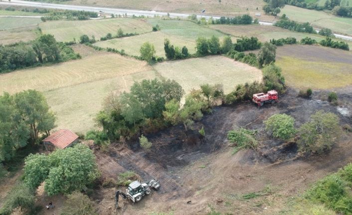 Sinop’ta yangın: 10 dönüm alan zarar gördü