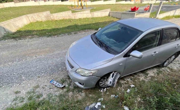 Sokak köpekleri park halindeki araca zarar verdi