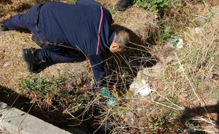 Sultanbeyli’de sokağa dökülen maddeden yayılan koku paniğe neden oldu