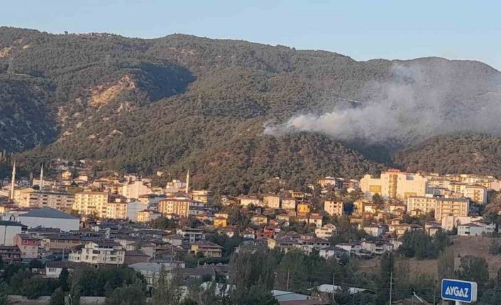 Tokat’ta orman yangını kontrol altına alındı