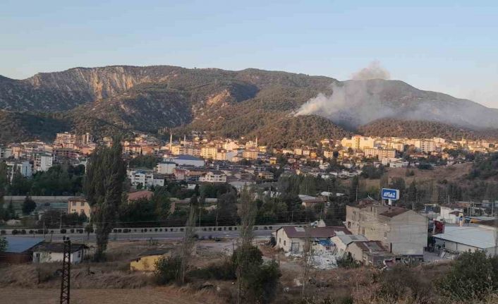 Tokat’ta orman yangınına ekipler müdahale ediyor