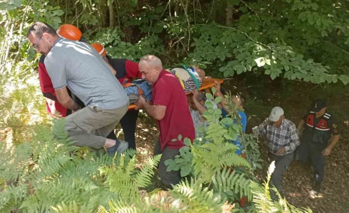 Traktörüyle 15 metrelik uçurumdan uçan sürücü ağır yaralandı