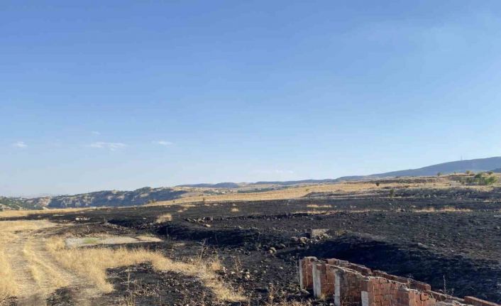 Tunceli’de arazi yangını