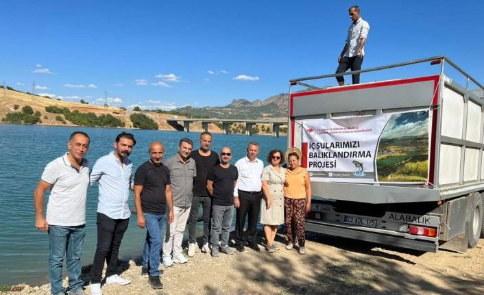 Tunceli’de baraj gölü ve gölete bir buçuk milyon sazan bırakıldı