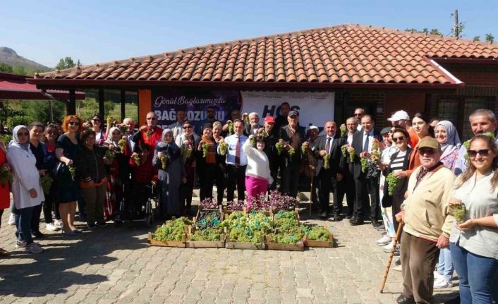 Türkiye’de tek olan ’Gönül Bağlarımızda Bağ Bozumu’ şenliği düzenlendi