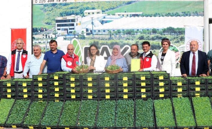 Yalova’da çiftçilere 490 bin adet sebze fidesi dağıtıldı