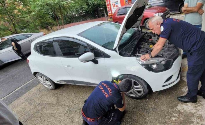 Yaramaz yavru kedi itfaiye ekiplerini uğraştırdı