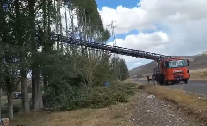 Yüksek gerilim hattının üzerinden geçtiği 200 ağaç kesildi