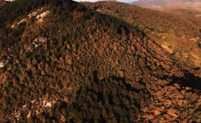 Zonguldak’ta eşsiz sonbahar manzarası