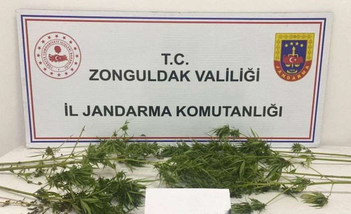 Zonguldak’ta uyuşturucu operasyonu