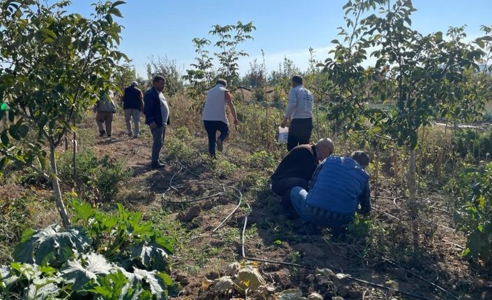 Beyşehir’de çiftçilere tarla faresiyle mücadele eğitimi