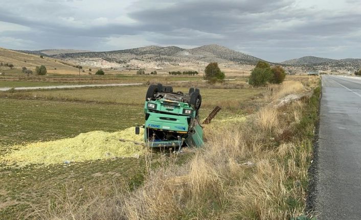 Devrilen kamyondaki 13 ton mısır silajı ziyan oldu