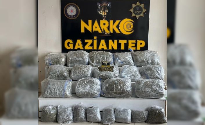 Gaziantep’te 78 kilogram skunk ele geçirildi: 1 şahıs tutuklandı