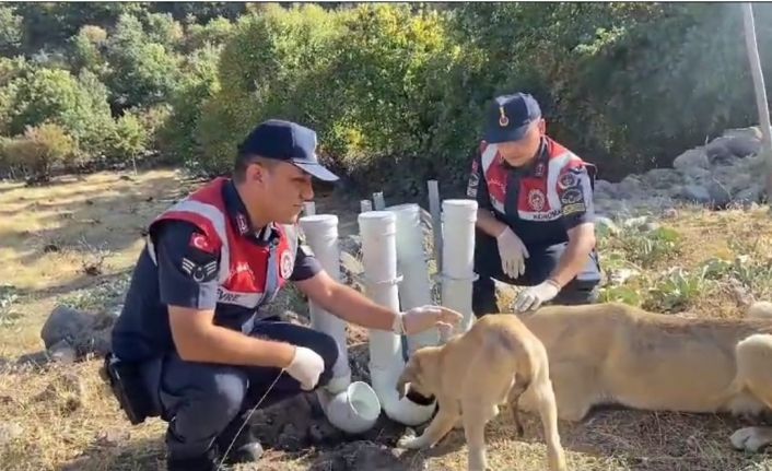 Jandarma, borulardan su ve yem kabı yapıp doğaya bıraktı