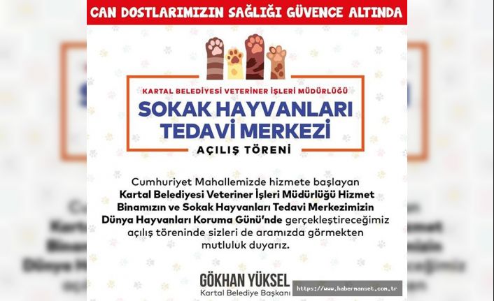 KARTAL BELEDİYESİ SOKAK HAYVANLARI TEDAVİ MERKEZİ AÇILIYOR