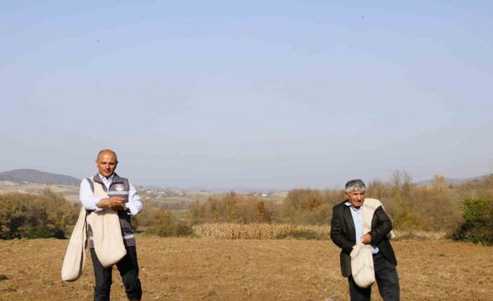 Körfezli çiftçilere sertifikalı buğday tohumu dağıtılacak