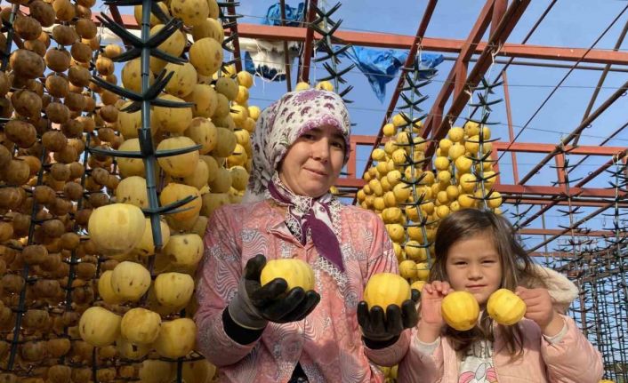 Manisa’dan dünyaya cennet hurması