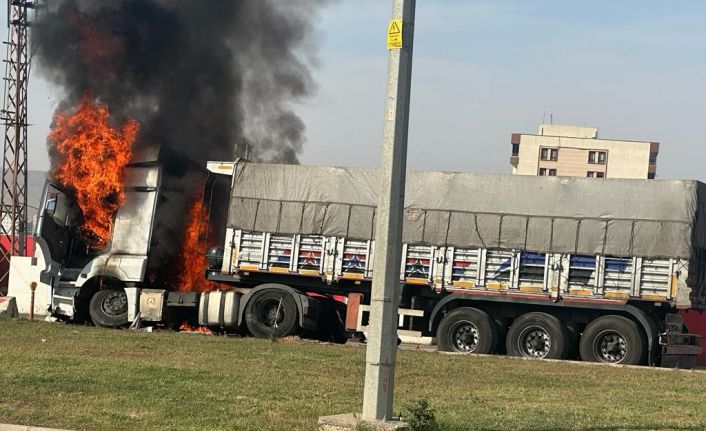 Şırnak’ta freni boşalan kömür yüklü kamyon bariyerlere çarparak yandı