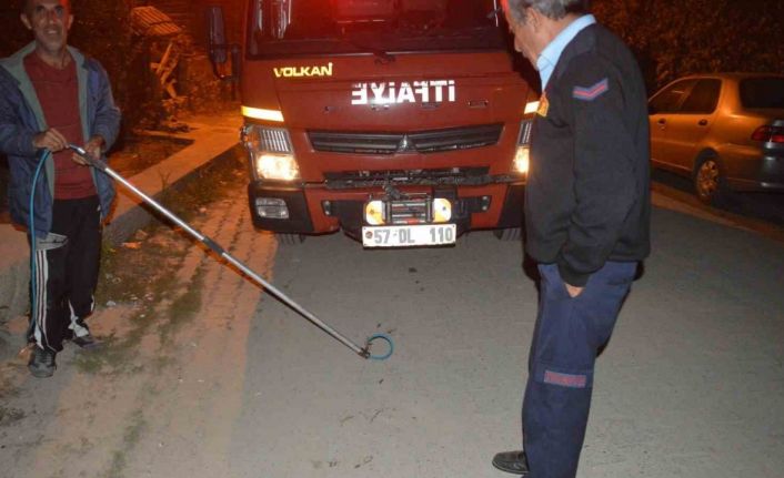 Su kuyusunda mahsur kalan kediyi itfaiye ekipleri kurtardı