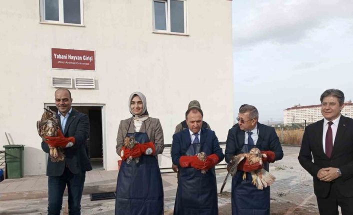 Tedavilere tamamlanan yırtıcı kuşları doğaya protokol üyeleri saldı