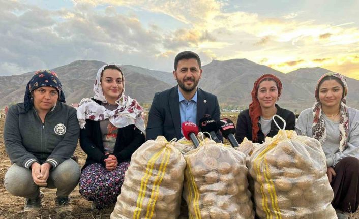 Yüksekova’nın toprağından bereket fışkırıyor: Ton ton patates elde edildi